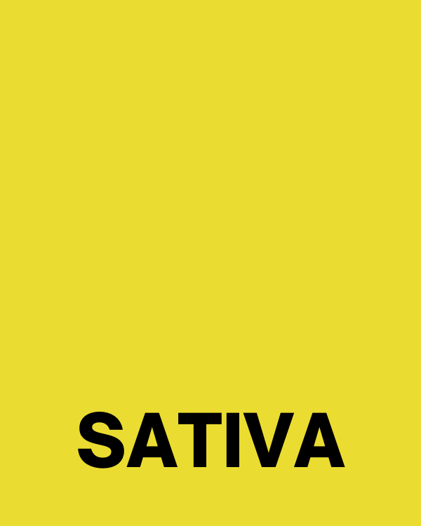 Sativa Strain